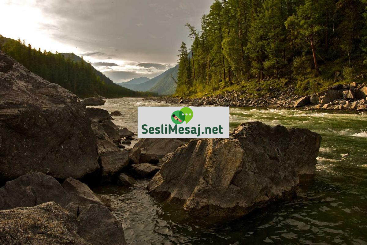 İklim Aktivizmi Sohbeti: Çevre Hareketi ve İletişim