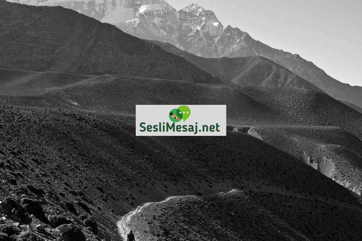 Kriptografi Sohbeti: Şifreleme Algoritmaları