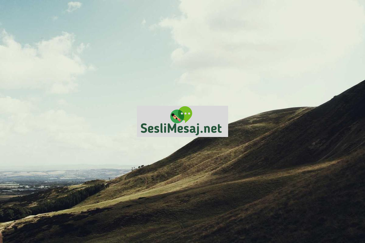 Kripto Para Cüzdanları Sohbeti: Sıcak ve Soğuk Cüzdanlar