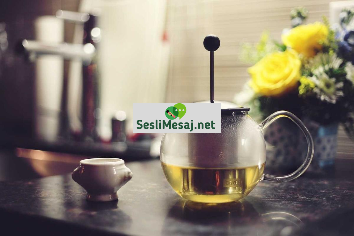 Kripto Para ve Gelecek Tahminleri Sohbeti: Trend