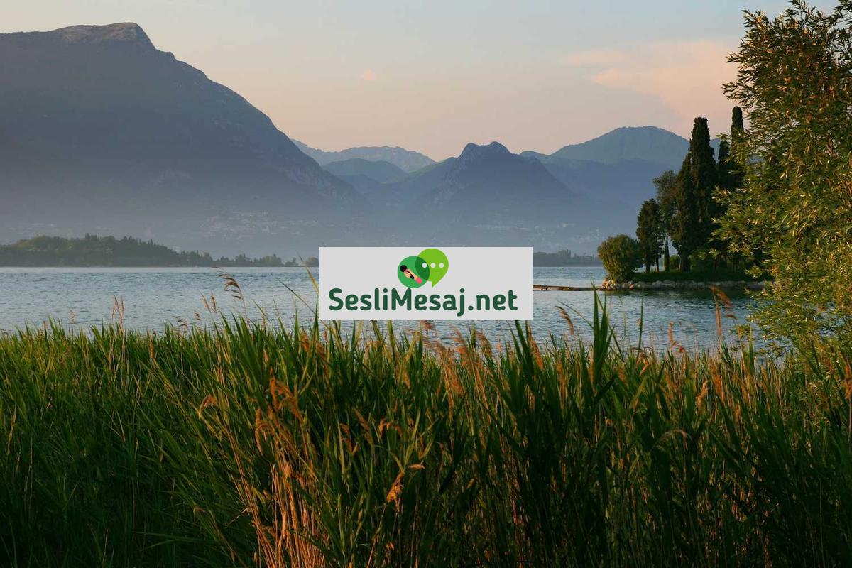 Kısa Film Çekiminde Görsel Yönetmenlik Sohbeti: Estetik