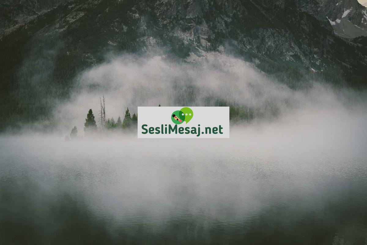 Kısa Film Çekiminde Görsel Yönetmenlik Sohbeti: Estetik