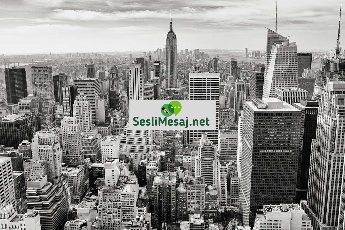 Meslek Sohbeti: Kariyer Seçimi ve İş Deneyimleri