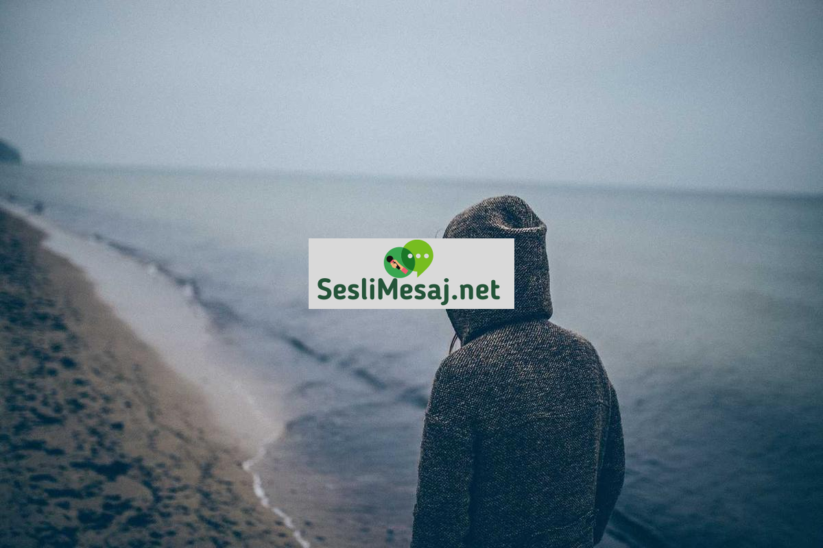 Metaverse’de Sanal Gayrimenkul Geliştirme Sohbeti: Yatırım
