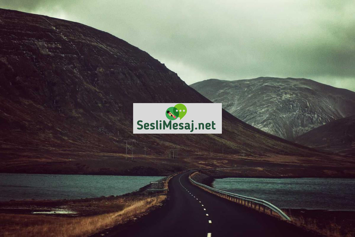 Metaverse’de Sanal Turizm Sohbeti: Gezi Deneyimi