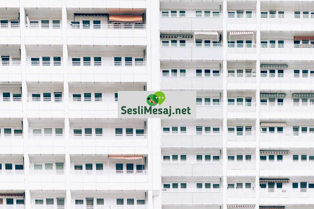 Metaverse Etkinlik Organizasyonu Sohbeti: Sanal Fuar ve Konser