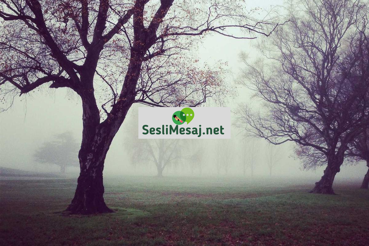 Müzik Prodüksiyonunda Mix ve Mastering Farkı Sohbeti: Ses