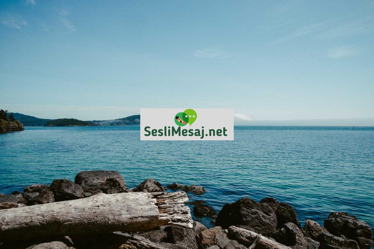 Networking Chat: Profesyonel Bağlantılar Kurma Rehberi