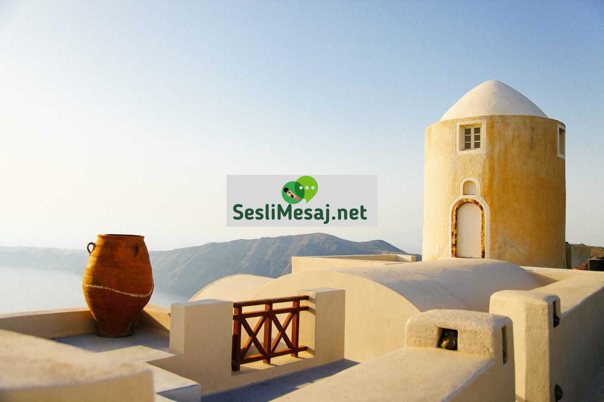 NFT Sanatı ve Dijital Koleksiyonculuk Sohbeti: Trendler