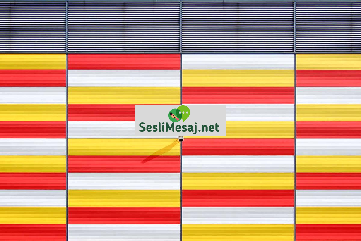 NFT Sanatı ve Dijital Koleksiyonculuk Sohbeti: Trendler