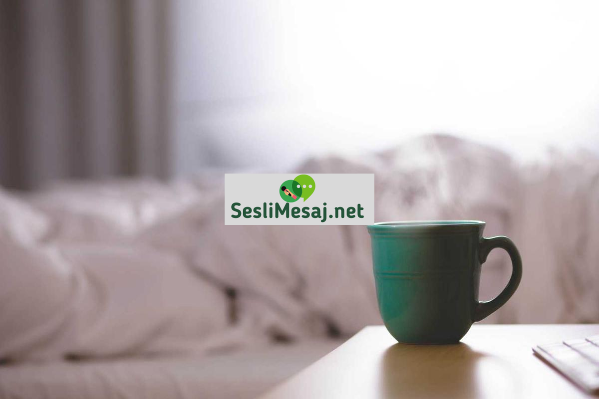 NFT Sanatı ve Dijital Koleksiyonculuk Sohbeti: Trendler