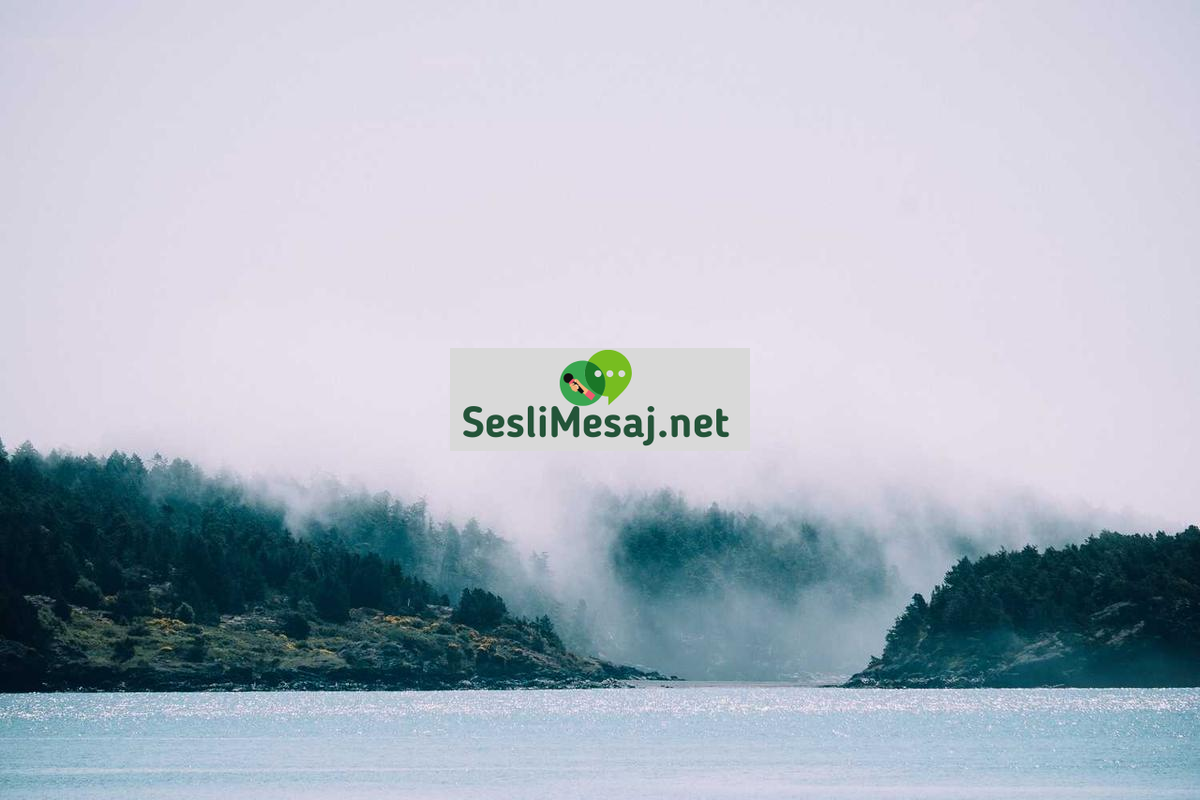 NFT Sanatı ve Dijital Koleksiyonculuk Sohbeti: Trendler