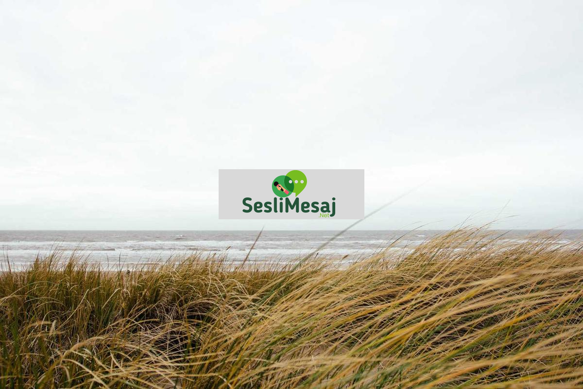 NFT Sanatı ve Dijital İtibarı Sohbeti: Marka