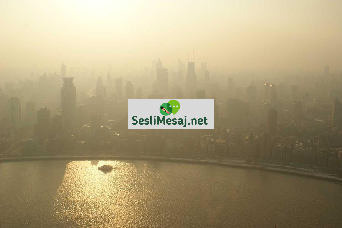 Okul Öncesi Eğitim Sohbeti: Erken Yaş Gelişimi