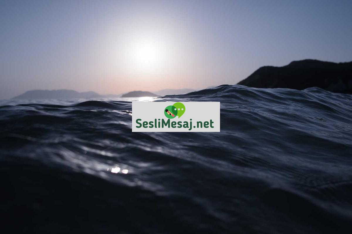 Online Eğitimde Etkili Not Alma Teknikleri Sohbeti: Verimlilik