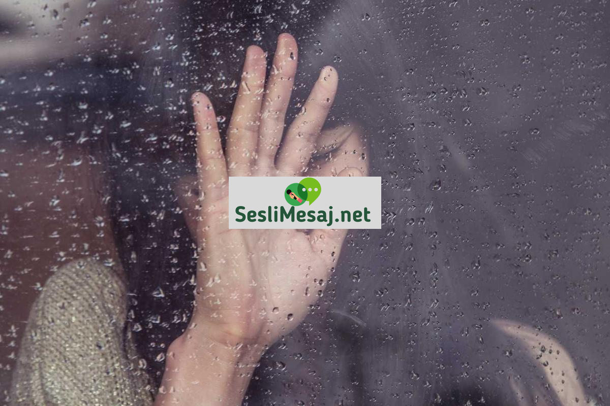 Online Eğitimde Etkili Not Alma Teknikleri Sohbeti: Verimlilik