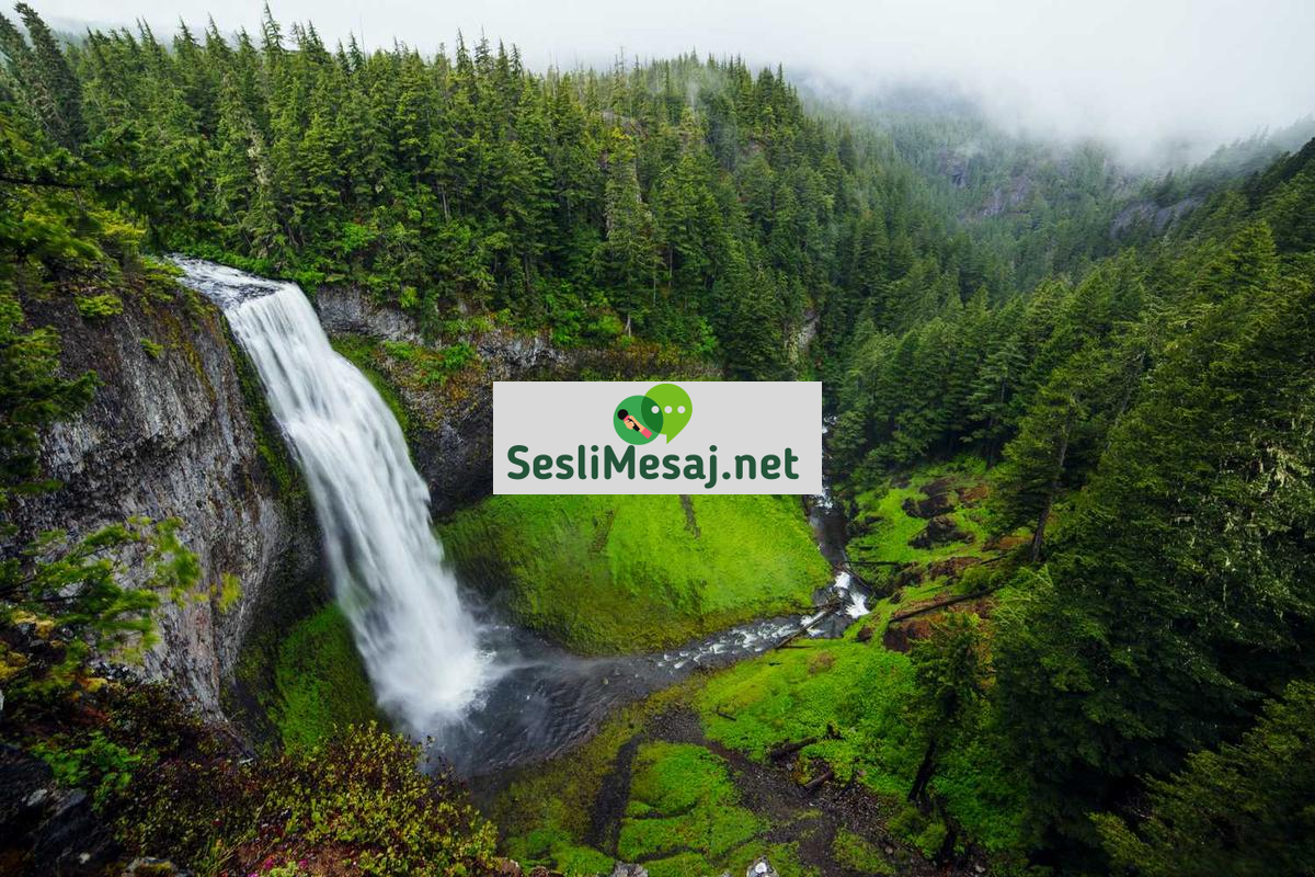 Online Eğitimde Etkili Not Alma Teknikleri Sohbeti: Verimlilik