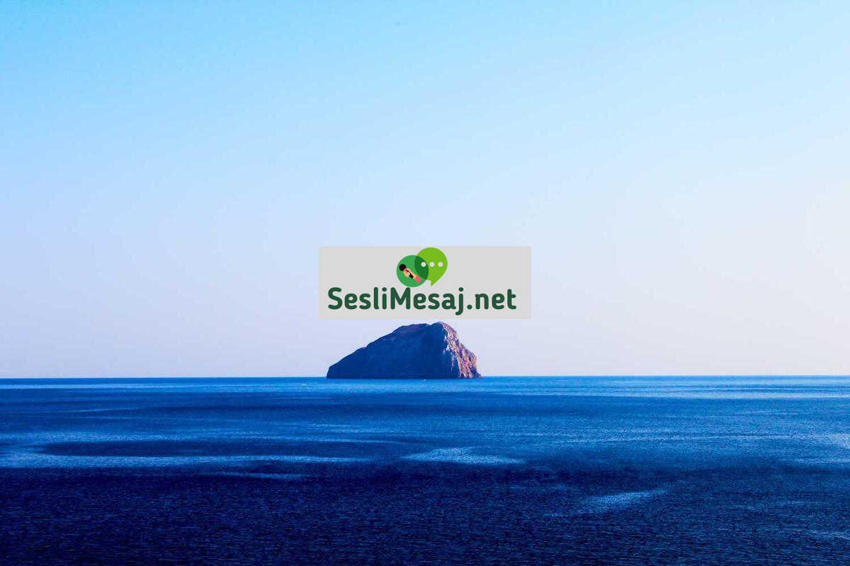 Online Eğitimde Etkili Not Alma Teknikleri Sohbeti: Verimlilik