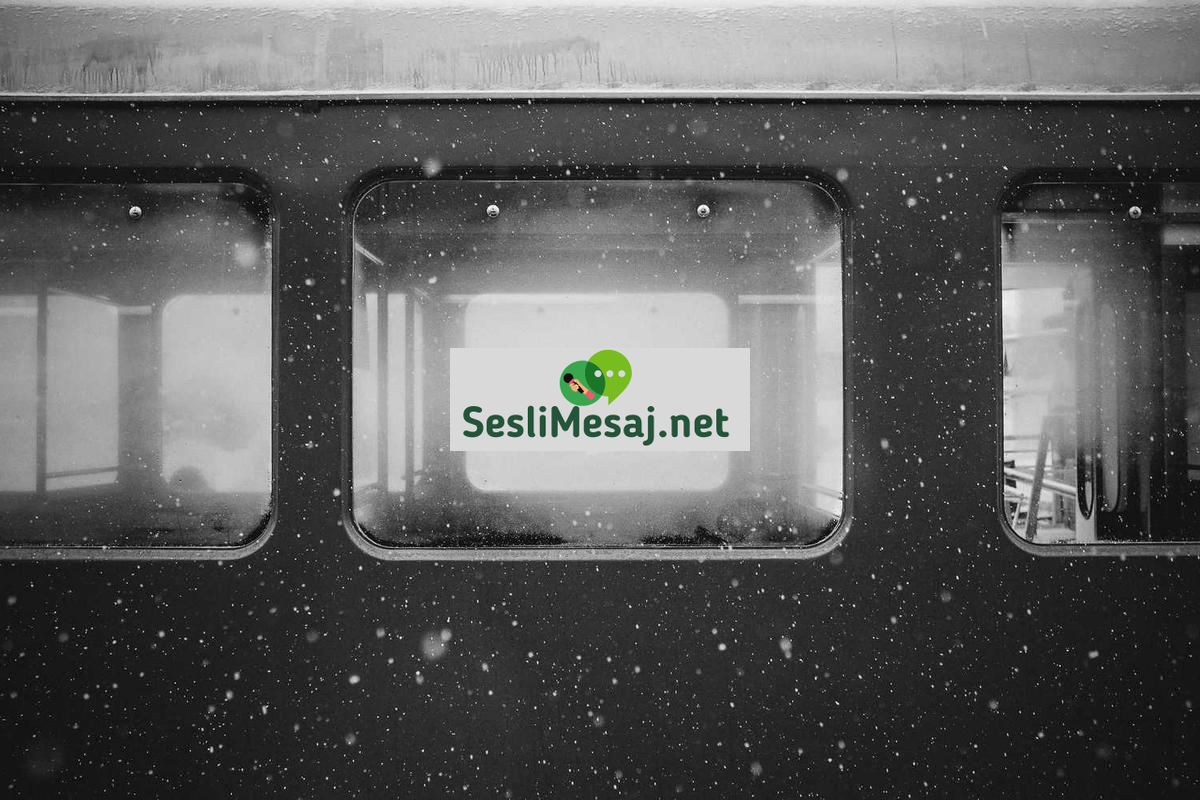 Online Eğitimde Öğrenci Geri Bildirimi Sohbeti: İyileştirme