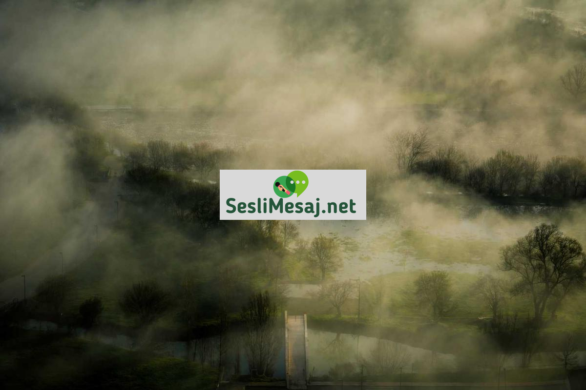 Online Eğitimin Geleceği ve Yapay Zeka Sohbeti: Yeni Trendler