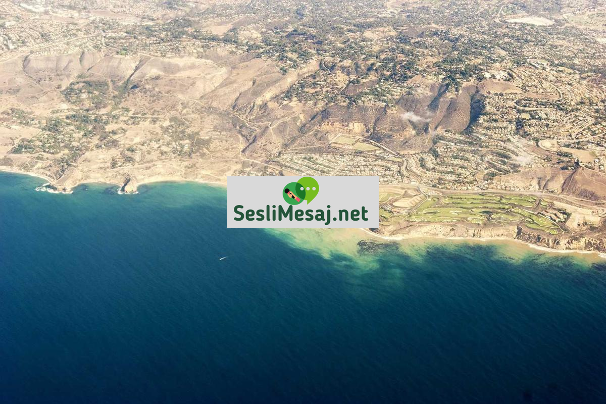 Online Flörtte İlk İletişim İpuçları Sohbeti: Başlangıç