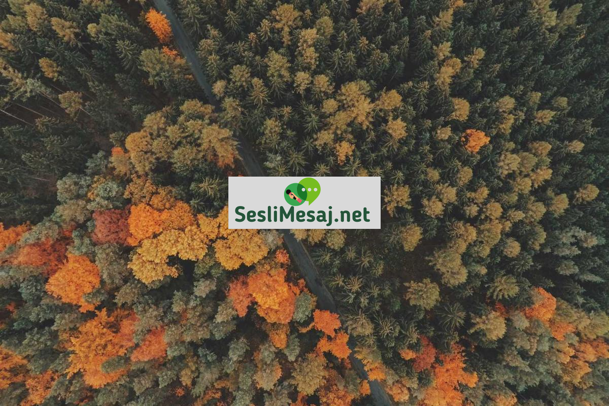 Oyun Geliştirme Sürecinde Ses Tasarımı Sohbeti: Ses Kalitesi