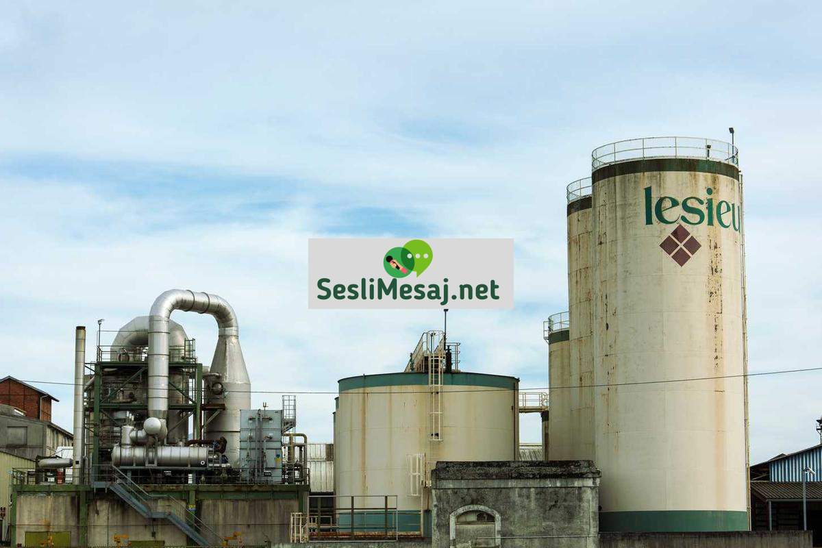 Pasif Gelirle Finansal Özgürlük İçin İpuçları Sohbeti: Yöntem