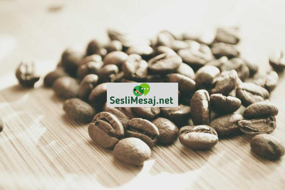 Pasif Gelirle Finansal Özgürlük İçin İpuçları Sohbeti: Yöntem