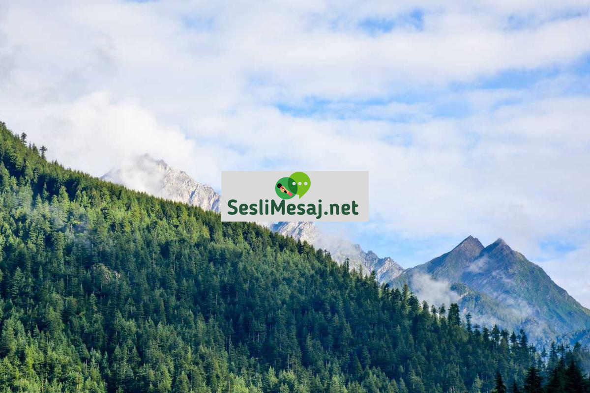 Pasif Gelirle Finansal Özgürlük Sohbeti: Başarı Hikayeleri