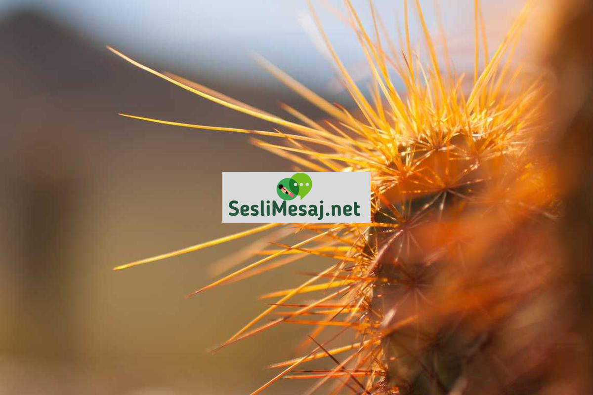 Resim ve Çizim Teknikleri Sohbeti: Dijital ve Geleneksel Sanat