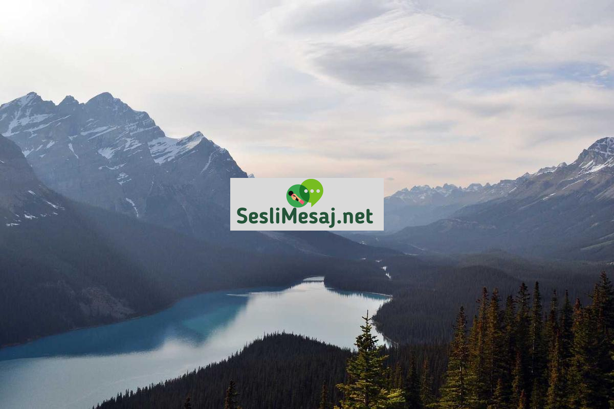 Romantik İlişkilerde Sürprizler Sohbeti: Heyecan Katma