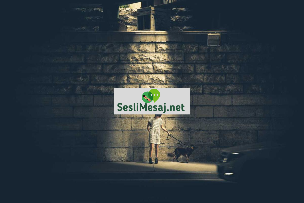 Rüya Sembolleri Sohbeti: Ortak Anlamlar ve Yorumlar