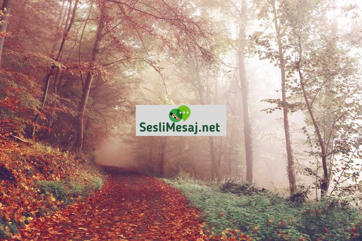 Sanal Aşk Sohbeti: Dijitalde Başlayan Romantik Hikayeler