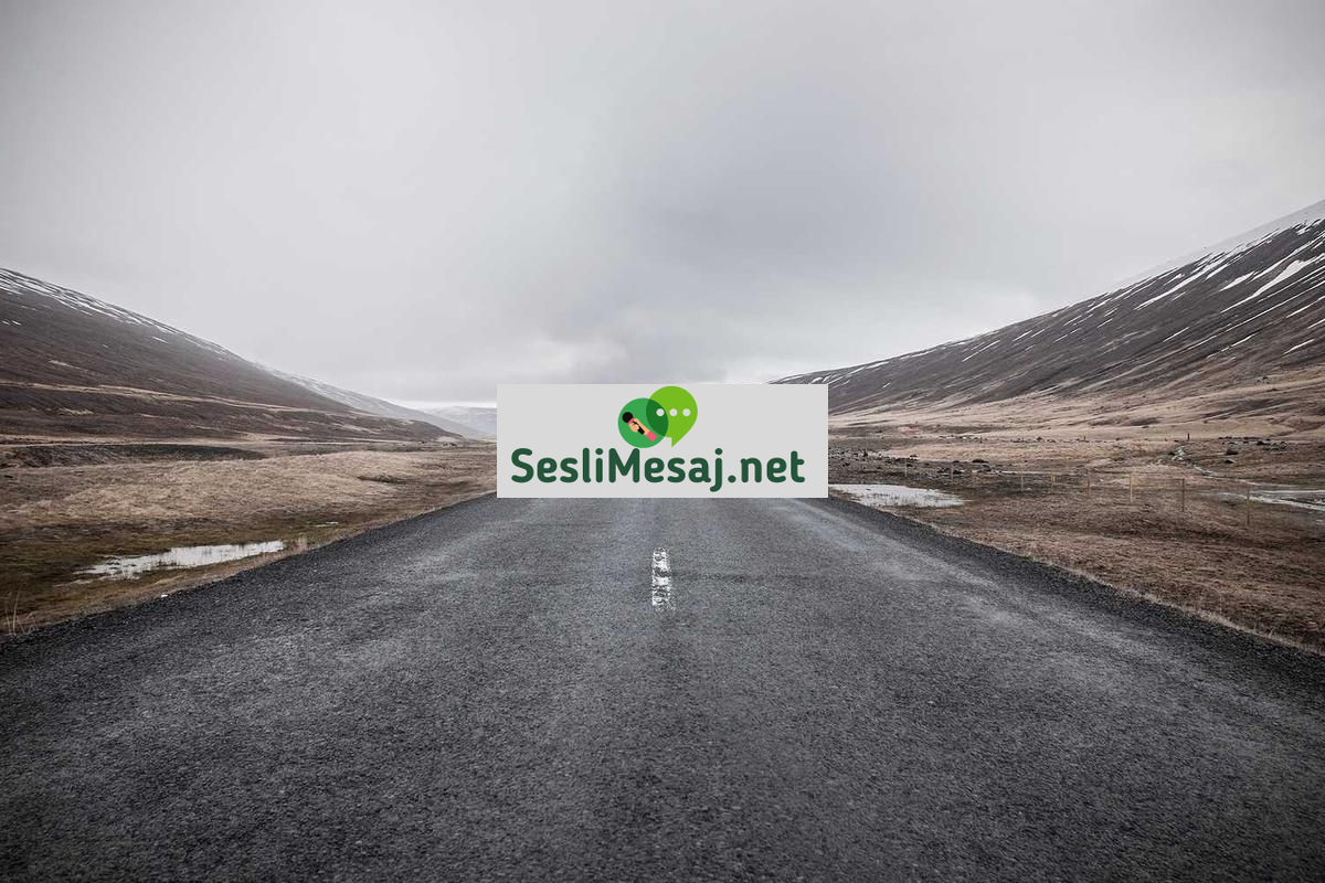 Sanal Asistan Sohbeti: Sesli ve Yazılı Asistanlarla İletişim