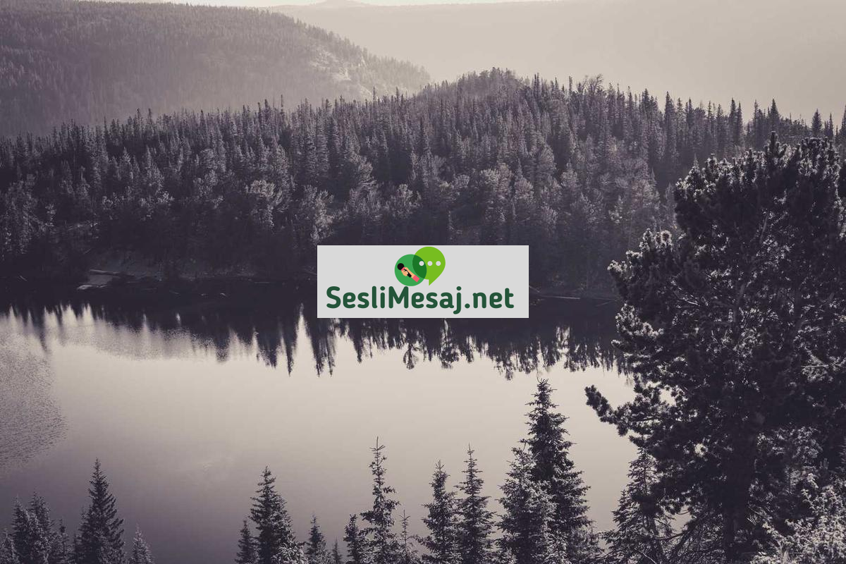 Sanal Gerçeklik Chat: VR Gözlüklerle İletişim