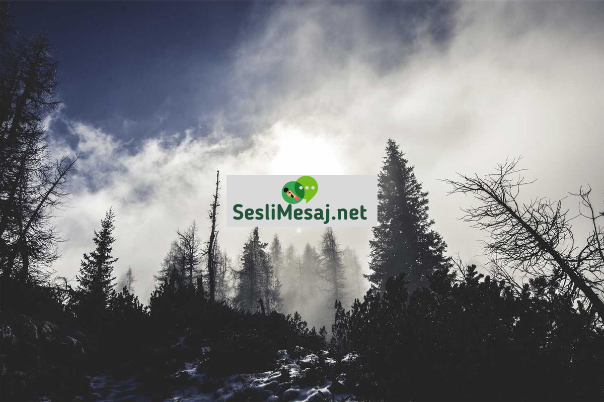 Sanat Chat: Sanat Tarihi ve Eserler Üzerine İletişim