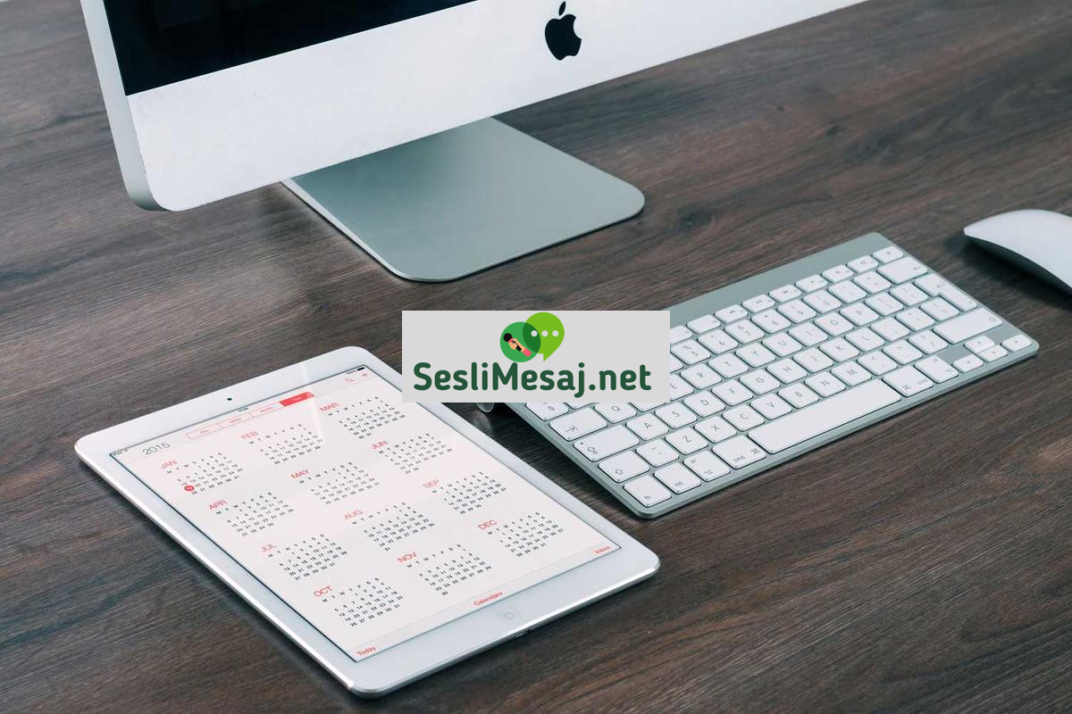 Siber Güvenlik Uzmanlarının Maaşları Sohbeti: Kariyer