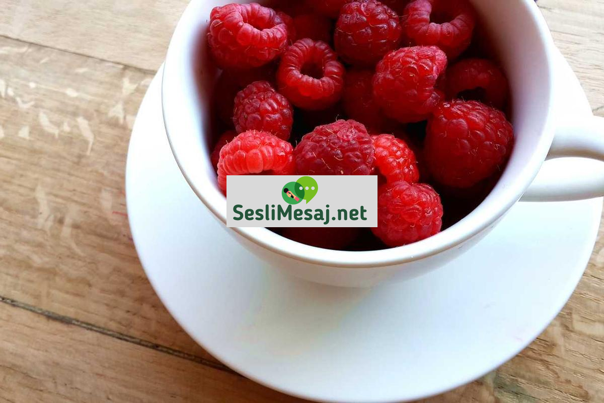 Siber Zorbalıkla Mücadele Yöntemleri Sohbeti: Ebeveyn ve Öğrenci Rehberi