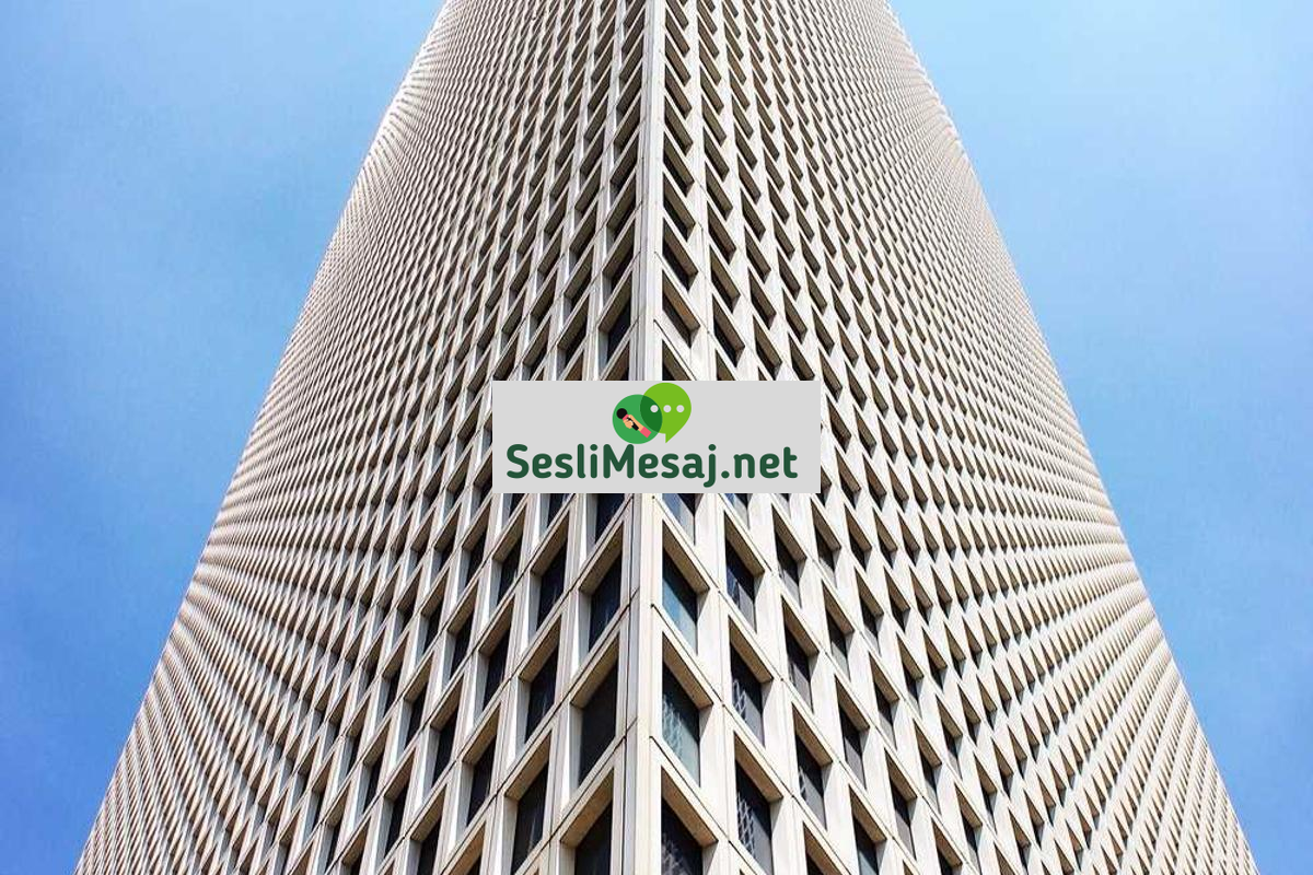 Sivil Toplum Kuruluşları Sohbeti: Gönüllülük ve Aktivizm