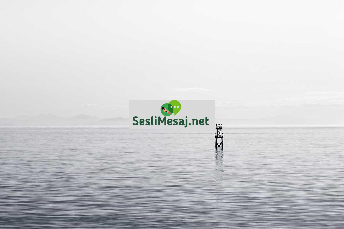 Skout Canlı Sohbet: Skout Platformunda Anlık İletişim