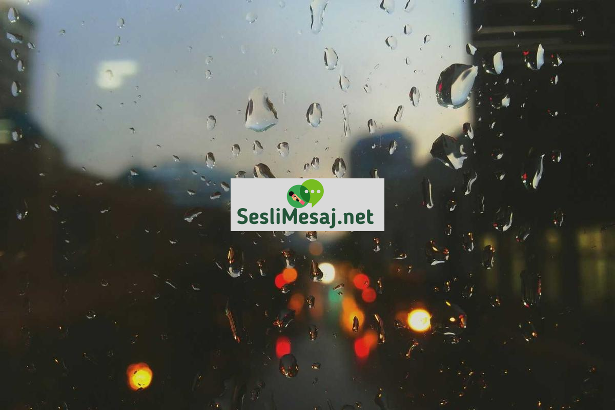 Sohbet Odasında Tanışanlar: Başarı Hikayeleri ve İpuçları