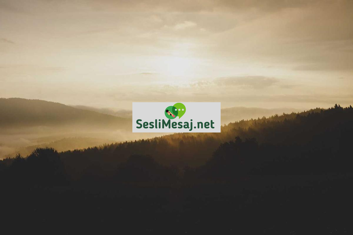 Sohbet Rehberi: Yeni Kullanıcılar İçin Başlangıç Kılavuzu