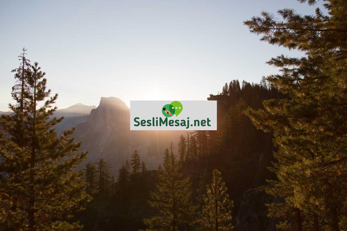 Teknoloji Startup Chat: Teknoloji Girişimciliği