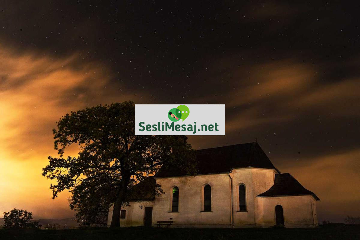 Tiyatro Oyunculuğu Sohbeti: Sahne ve Teknikler