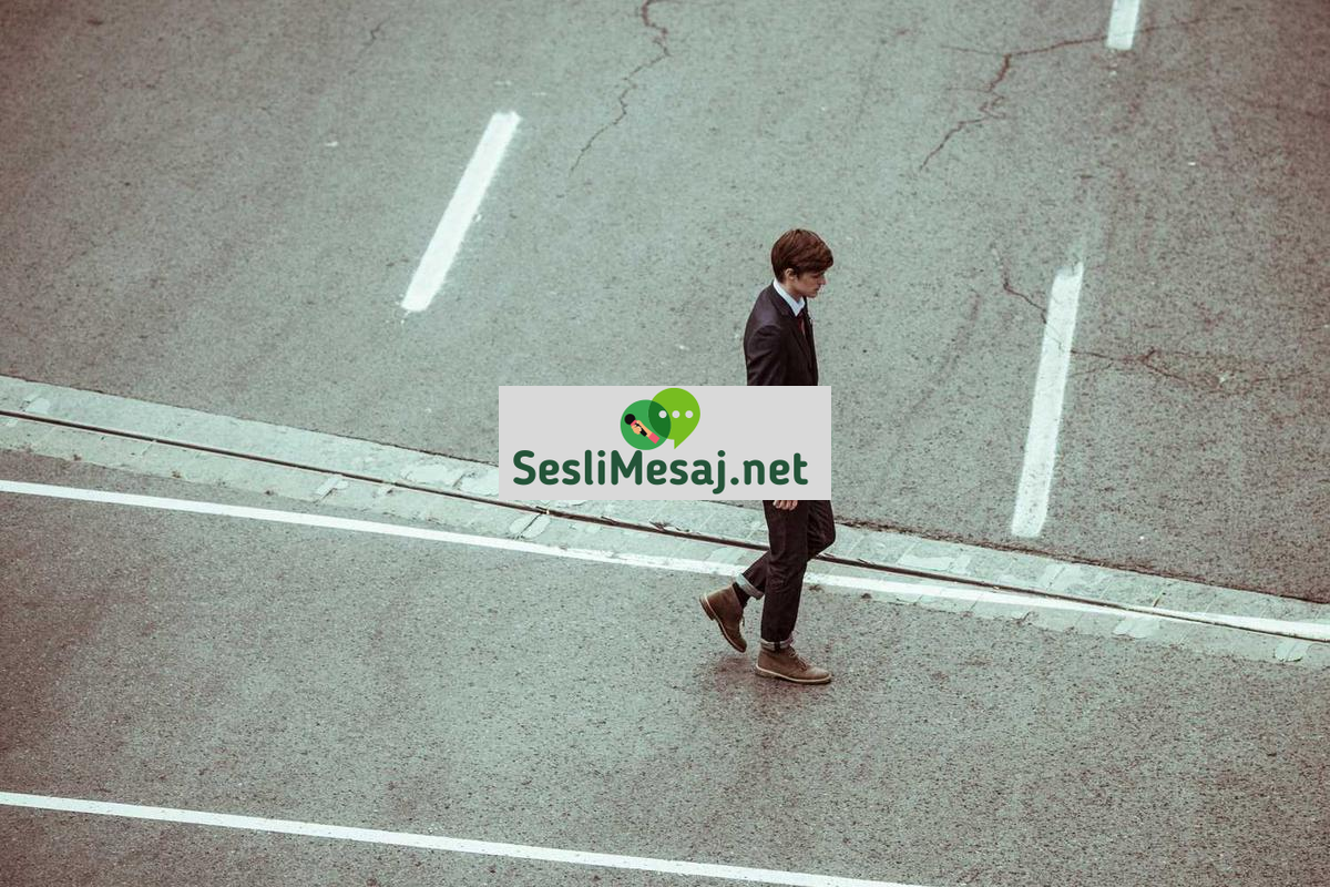 Video Düzenleme Programları Sohbeti: Ücretsiz ve Ücretli