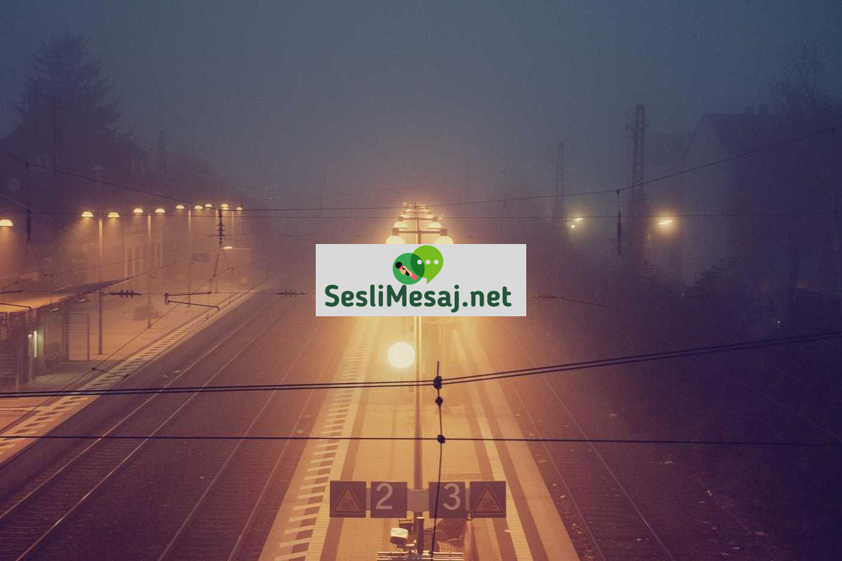 Web3 ve Merkezi Olmayan Uygulamalar Sohbeti: Gelecek Teknolojisi