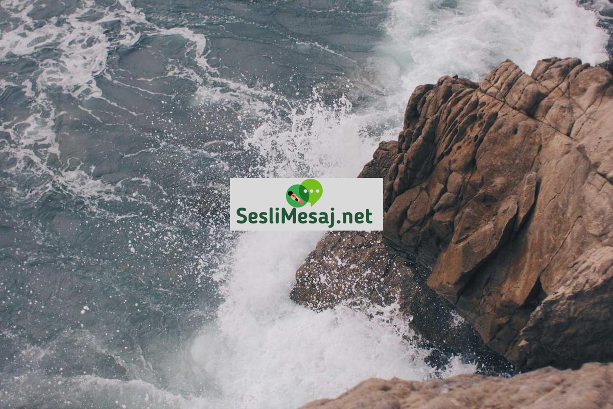 Web Tasarımı Sohbeti: Kullanıcı Deneyimi ve Arayüz