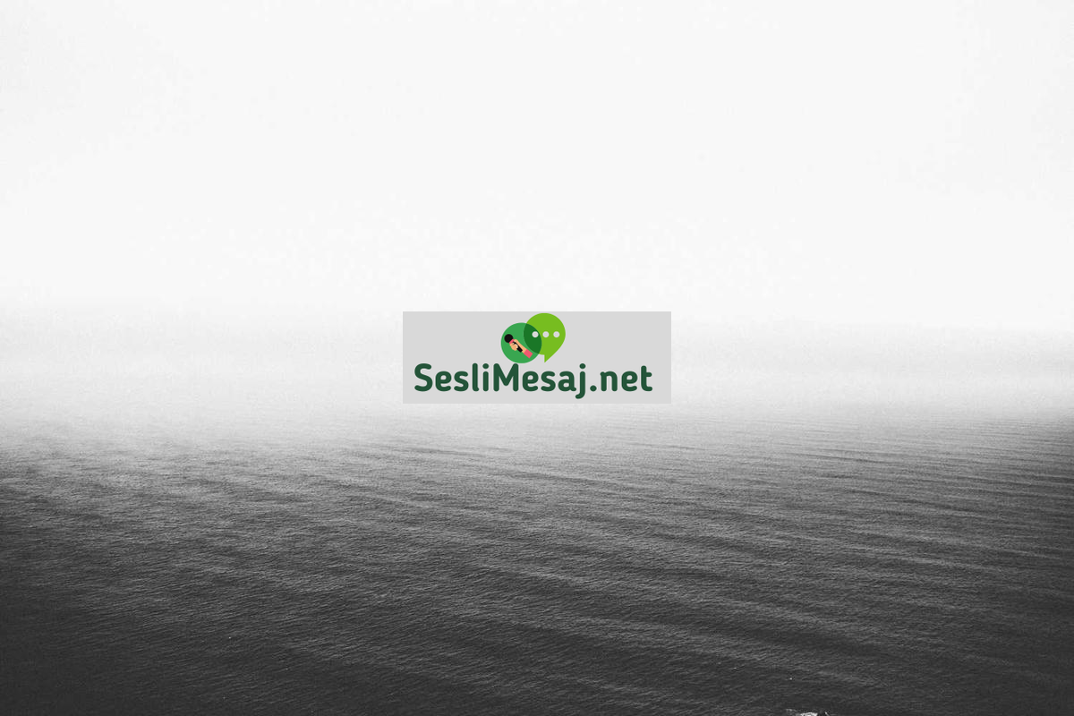 WhatsApp Arkadaşlık Chat: WhatsApp Gruplarında Sosyalleşme