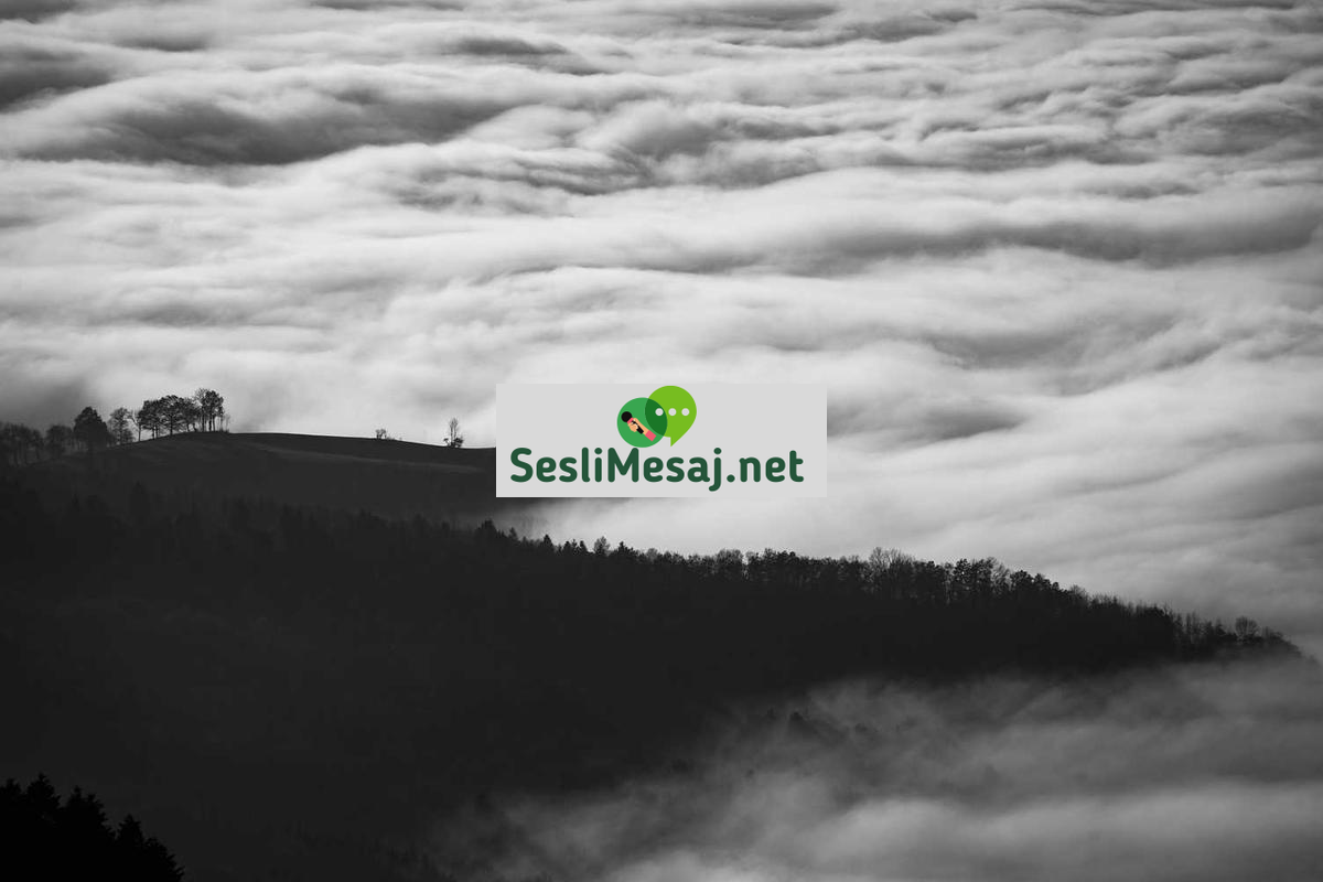 Yapay Zeka ve Yaratıcılık Sohbeti: Sanat ve Tasarım