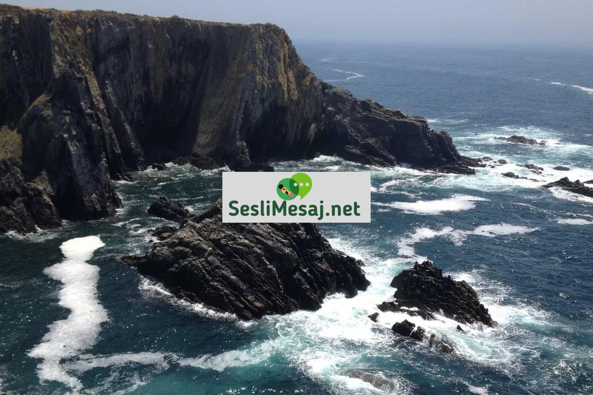 Yatırım Fonları Sohbeti: Çeşitleri ve Riskler